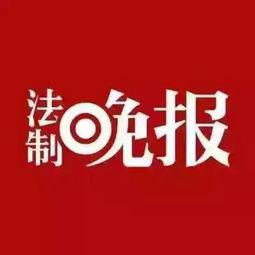 新闻爆料是什么,探寻事件背后真相  第2张