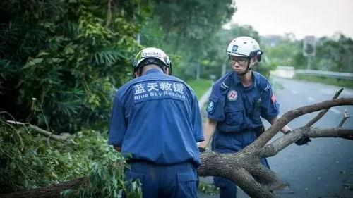 蓝天救援队爆料视频大全