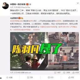 徐大宝爆料视频事件最新,真相与争议交织的舆论漩涡  第3张