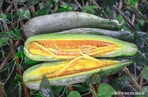 呼市网红吃瓜,揭秘幕后故事与热门话题 第3张 呼市网红吃瓜,揭秘幕后故事与热门话题 第3张