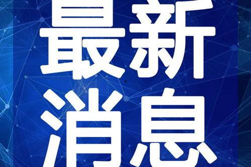 天涯kk最新爆料视频,揭秘事件背后惊人真相  第2张