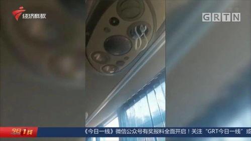 谭先生最近最新爆料,揭秘娱乐圈惊人内幕 第3张 谭先生最近最新爆料,揭秘娱乐圈惊人内幕 第3张